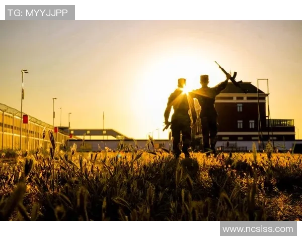 足球场上的泽字传奇明星们带你领略不一样的精彩与激情